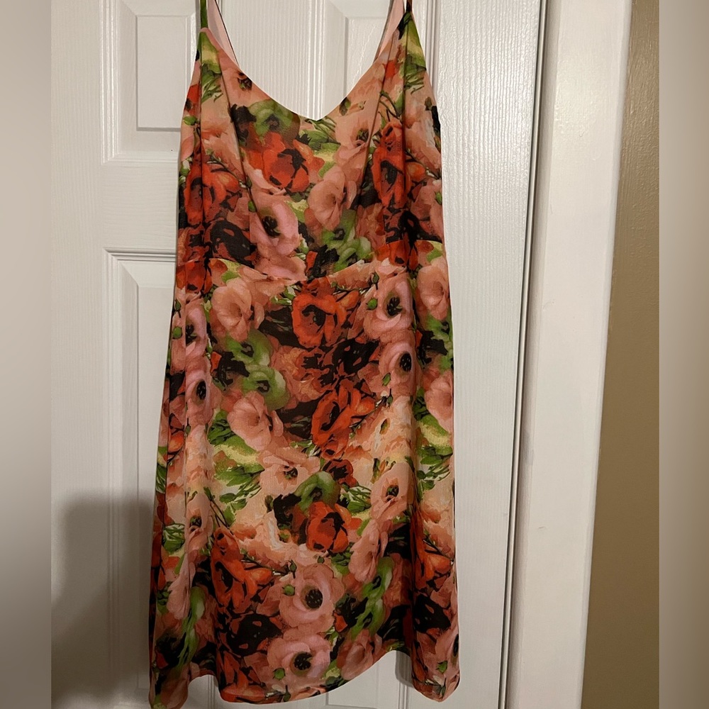 Bb Dakota roses dress size 6